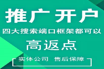 行业领先企业背后的信息流代运营案例